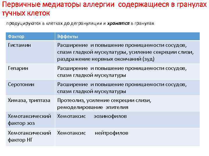 Первичные медиаторы аллергии содержащиеся в гранулах тучных клеток продуцируются в клетках до дегрануляции и
