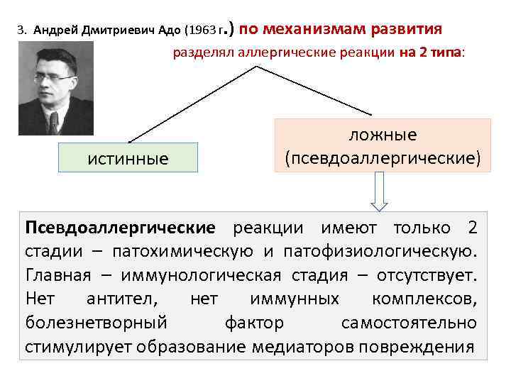 3. Андрей Дмитриевич Адо (1963 г. ) по механизмам развития разделял аллергические реакции на