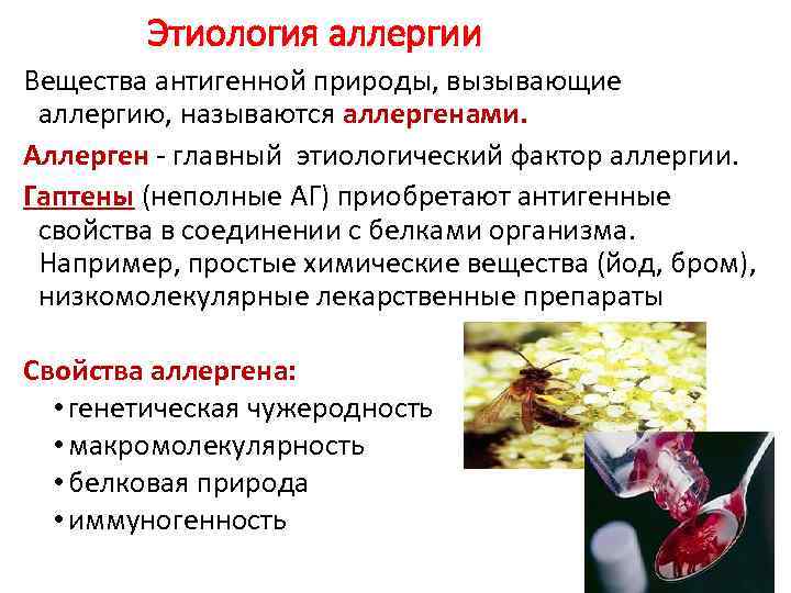 Этиология аллергии Вещества антигенной природы, вызывающие аллергию, называются аллергенами. Аллерген - главный этиологический фактор