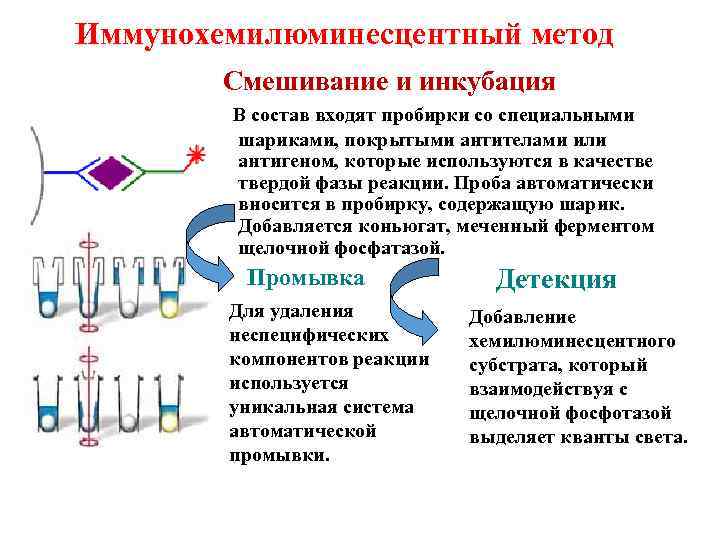 Иммунохемилюминесцентный метод Смешивание и инкубация В состав входят пробирки со специальными шариками, покрытыми антителами
