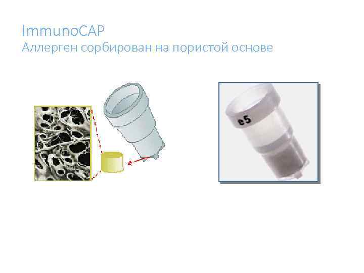 Immuno. CAP Аллерген сорбирован на пористой основе 
