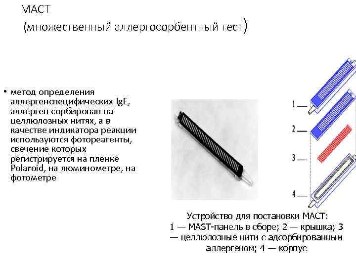 MACT (множественный аллергосорбентный тест) • метод определения аллергенспецифических Ig. E, аллерген сорбирован на целлюлозных