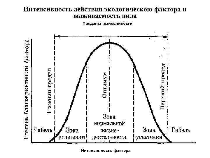 Интенсивность действия факторов среды 9 класс презентация