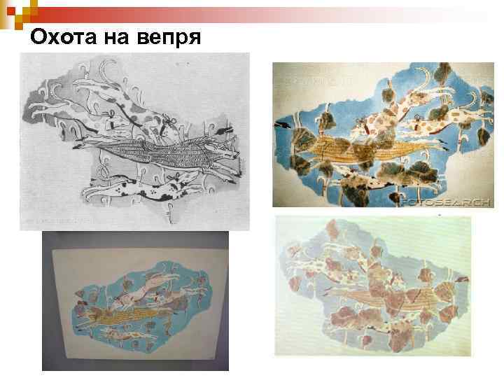 Охота на вепря 