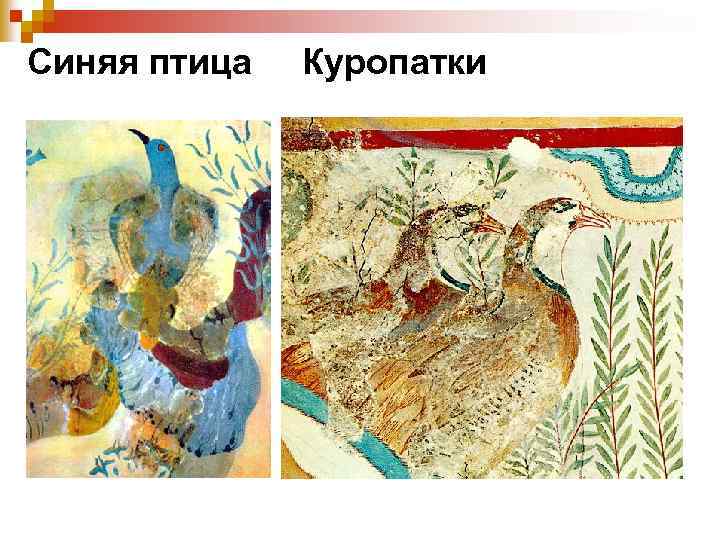 Синяя птица Куропатки 