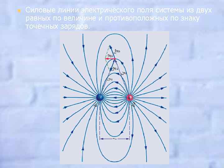 На каком рисунке правильно изображена картина линий напряженности электростатического поля