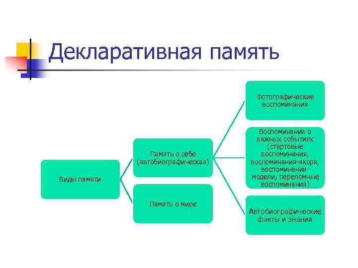 Память относится к. Процедурная и декларативная память. Автобиографическая память. Особенности декларативной памяти. Схема процедурная и декларативная память..