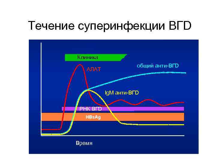 Течение суперинфекции ВГD Клиника АЛАТ общий анти-ВГD Ig. M анти-ВГD РНК ВГD Время 