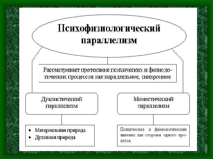 Вам необходимо написать план эссе своего психофизического совершенствования