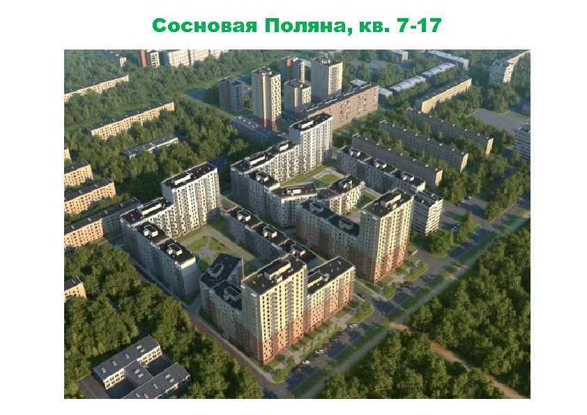 Сосновая Поляна, кв. 7 -17 