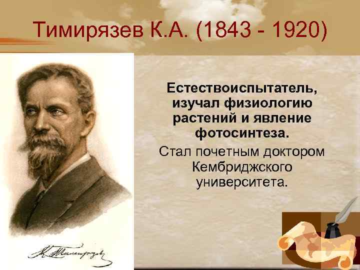 Тимирязев К. А. (1843 - 1920) Естествоиспытатель, изучал физиологию растений и явление фотосинтеза. Стал