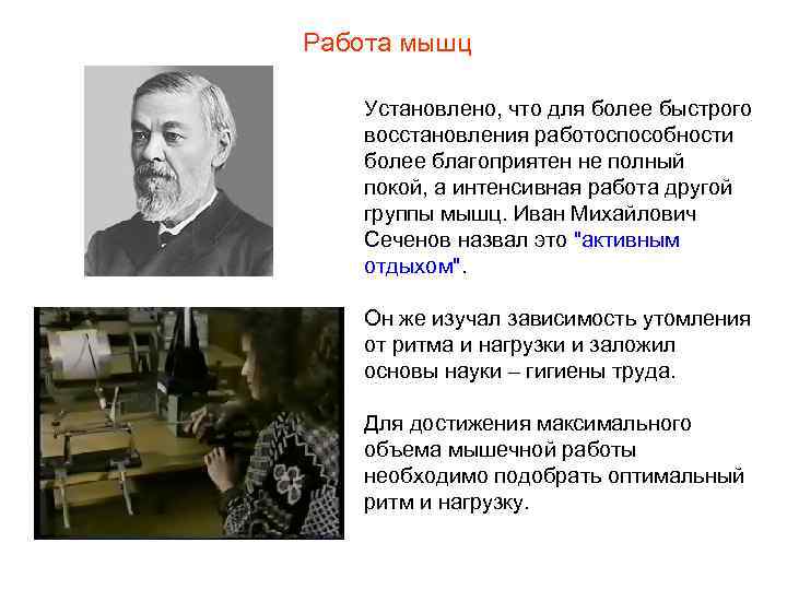 Работа мышц Установлено, что для более быстрого восстановления работоспособности более благоприятен не полный покой,