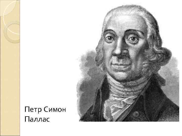 Петр Симон Паллас 