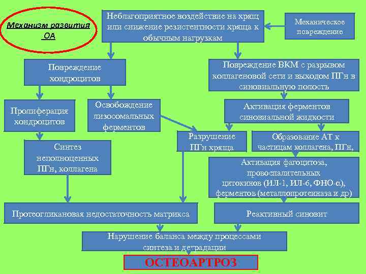 Неблагоприятное воздействие на хрящ или снижение резистентности хряща к обычным нагрузкам Механизм развития ОА