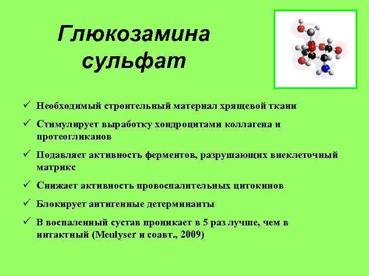 Глюкозамина сульфат ü Необходимый строительный материал хрящевой ткани ü Стимулирует выработку хондроцитами коллагена и