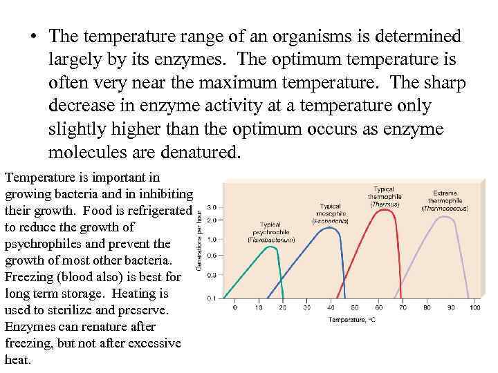  • The temperature range of an organisms is determined largely by its enzymes.