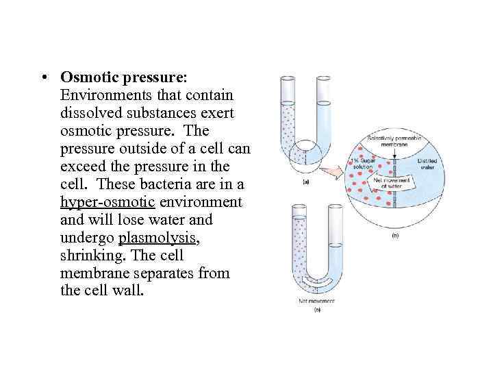  • Osmotic pressure: Environments that contain dissolved substances exert osmotic pressure. The pressure