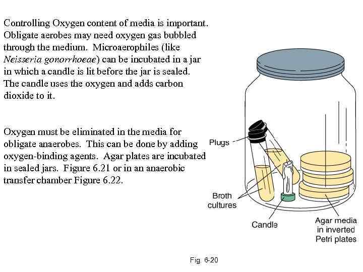 Controlling Oxygen content of media is important. Obligate aerobes may need oxygen gas bubbled