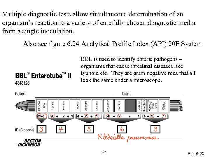 Multiple diagnostic tests allow simultaneous determination of an organism’s reaction to a variety of