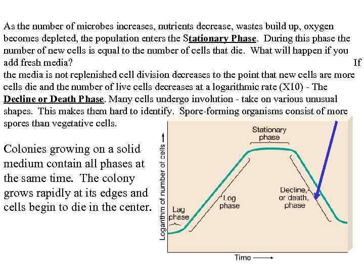 As the number of microbes increases, nutrients decrease, wastes build up, oxygen becomes depleted,