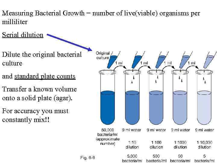 Measuring Bacterial Growth = number of live(viable) organisms per. . milliliter Serial dilution Dilute