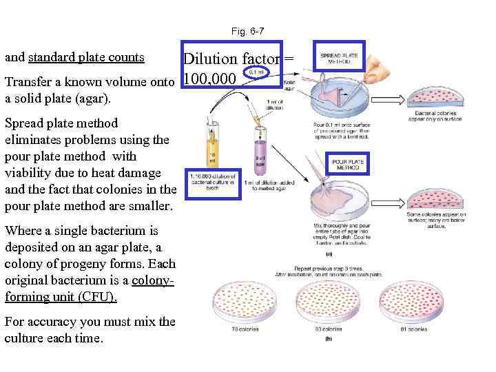 Fig. 6 -7 and standard plate counts Dilution factor = Transfer a known volume