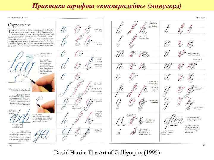 Практика шрифта «копперплейт» (минускул) David Harris. The Art of Calligraphy (1995) 