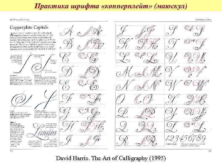 Практика шрифта «копперплейт» (маюскул) David Harris. The Art of Calligraphy (1995) 