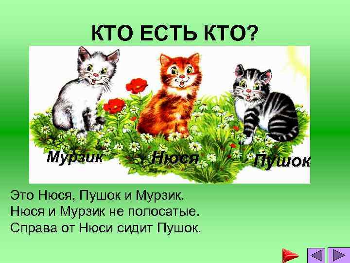 КТО ЕСТЬ КТО? Мурзик Нюся Это Нюся, Пушок и Мурзик. Нюся и Мурзик не