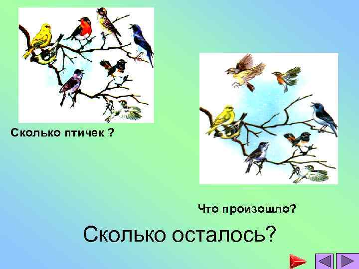 Сколько птичек ? Что произошло? Сколько осталось? 