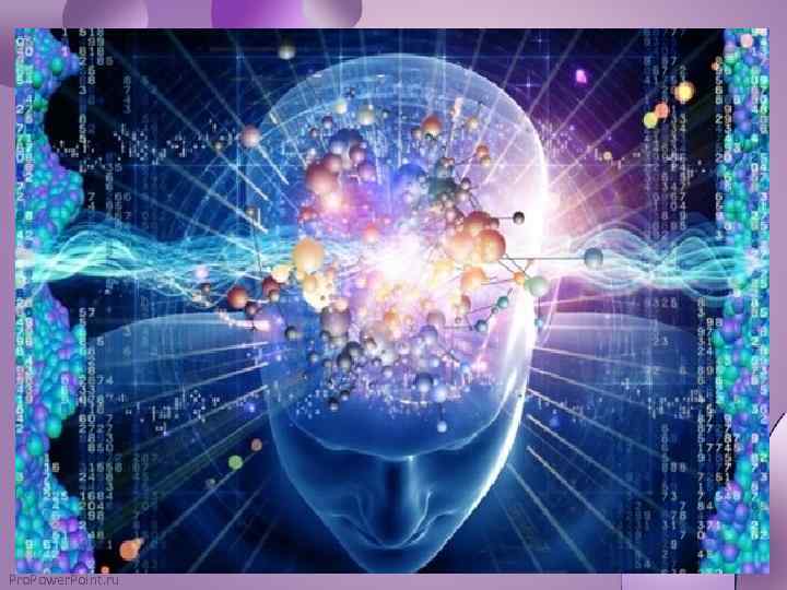 Pro. Power. Point. ru www. ZHARAR. com 