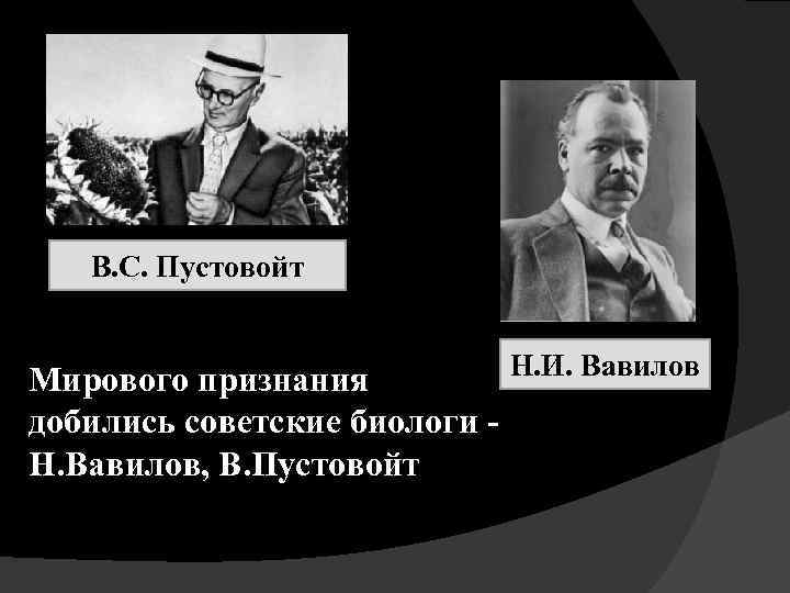 В. С. Пустовойт Н. И. Вавилов Мирового признания добились советские биологи Н. Вавилов, В.