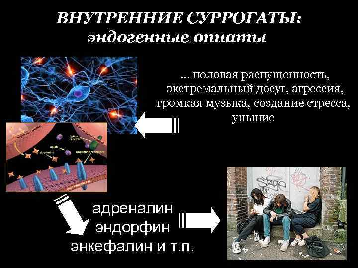 ВНУТРЕННИЕ СУРРОГАТЫ: эндогенные опиаты … половая распущенность, экстремальный досуг, агрессия, громкая музыка, создание стресса,