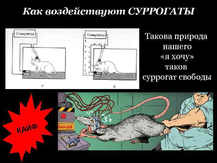 Как воздействуют СУРРОГАТЫ Такова природа нашего «я хочу» таков суррогат свободы КАЙФ 
