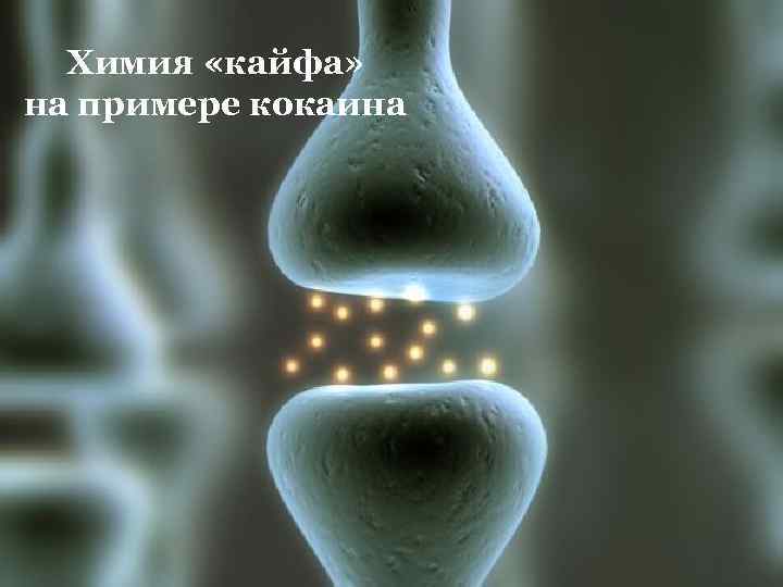 Химия «кайфа» на примере кокаина 