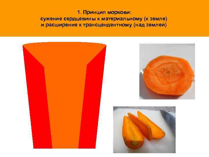 1. Принцип моркови: сужение сердцевины к материальному (к земле) и расширение к трансцендентному (над