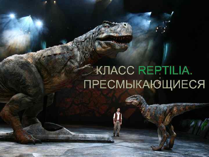 КЛАСС REPTILIA. ПРЕСМЫКАЮЩИЕСЯ 