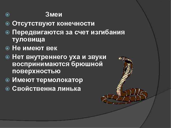  Змеи Отсутствуют конечности Передвигаются за счет изгибания туловища Не имеют век Нет внутреннего