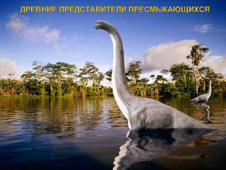 ДРЕВНИЕ ПРЕДСТАВИТЕЛИ ПРЕСМЫКАЮЩИХСЯ 