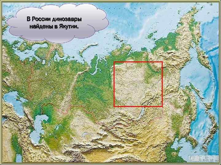 В России динозавры найдены в Якутии. 