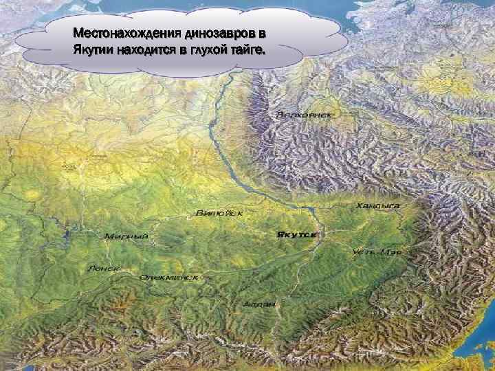 Местонахождения динозавров в Якутии находится в глухой тайге. 
