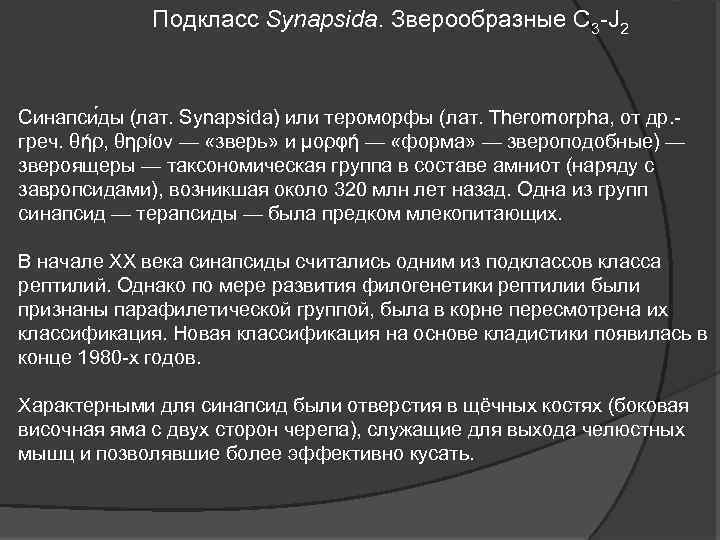 Подкласс Synapsida. Зверообразные C 3 -J 2 Синапси ды (лат. Synapsida) или тероморфы (лат.