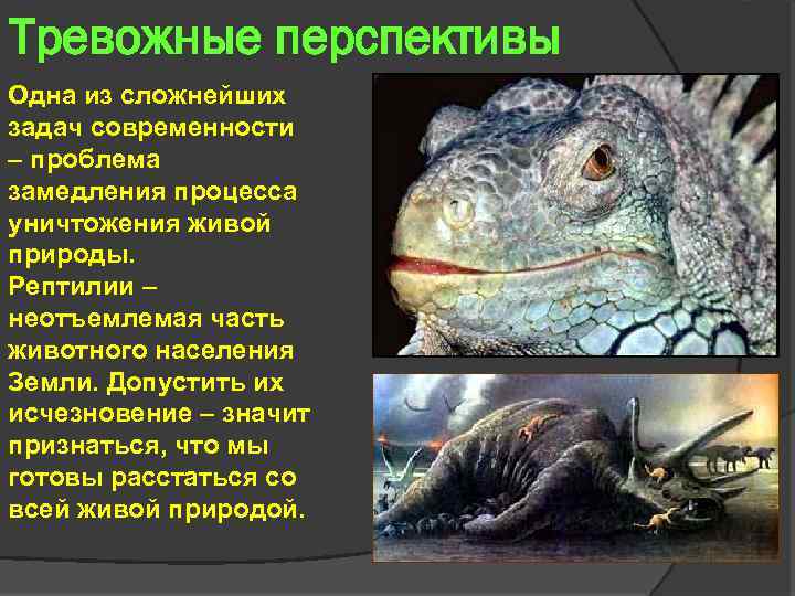 Тревожные перспективы Одна из сложнейших задач современности – проблема замедления процесса уничтожения живой природы.