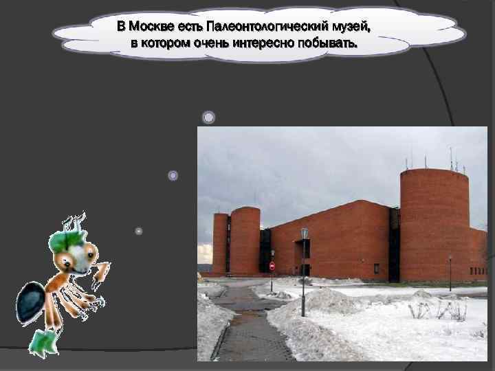 В Москве есть Палеонтологический музей, в котором очень интересно побывать. 