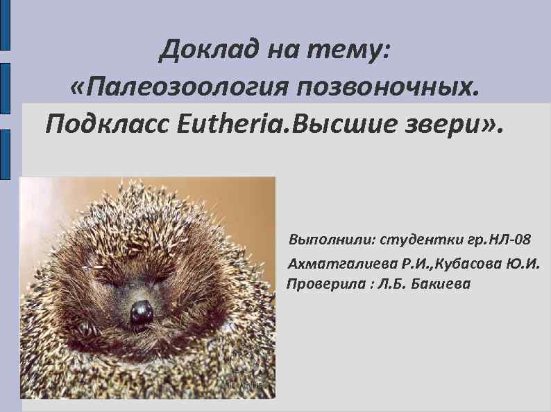 Доклад на тему: «Палеозоология позвоночных. Подкласс Eutheria. Высшие звери» . Выполнили: студентки гр. НЛ-08