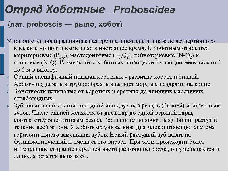 Отряд Хоботные Proboscidea — (лат. proboscis — рыло, хобот) Многочисленная и разнообразная группа в