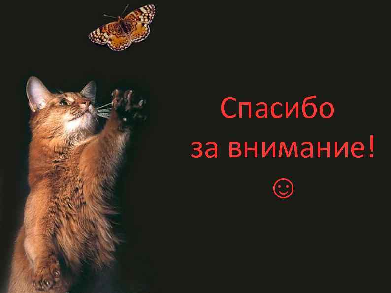 Спасибо за внимание! ☺ 