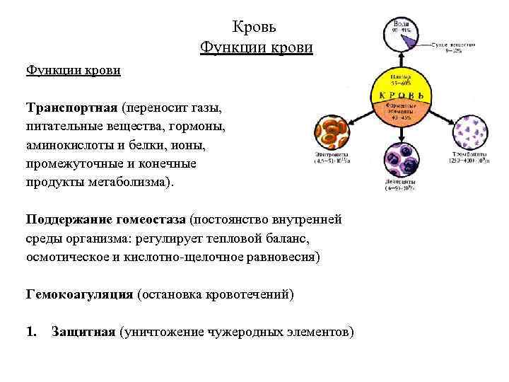 Кровь Функции крови Транспортная (переносит газы, питательные вещества, гормоны, аминокислоты и белки, ионы, промежуточные