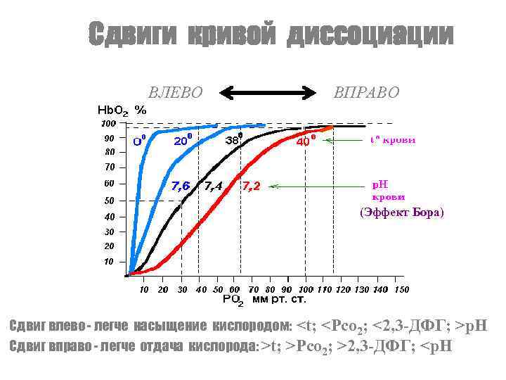 Сдвиги кривой диссоциации ВЛЕВО ВПРАВО (Эффект Бора) Сдвиг влево - легче насыщение кислородом: <t;