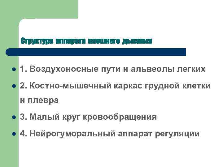 Структура аппарата внешнего дыхания l 1. Воздухоносные пути и альвеолы легких l 2. Костно-мышечный
